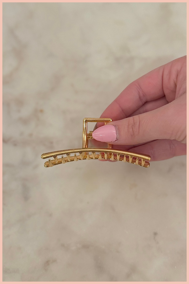 Metal Claw Clip