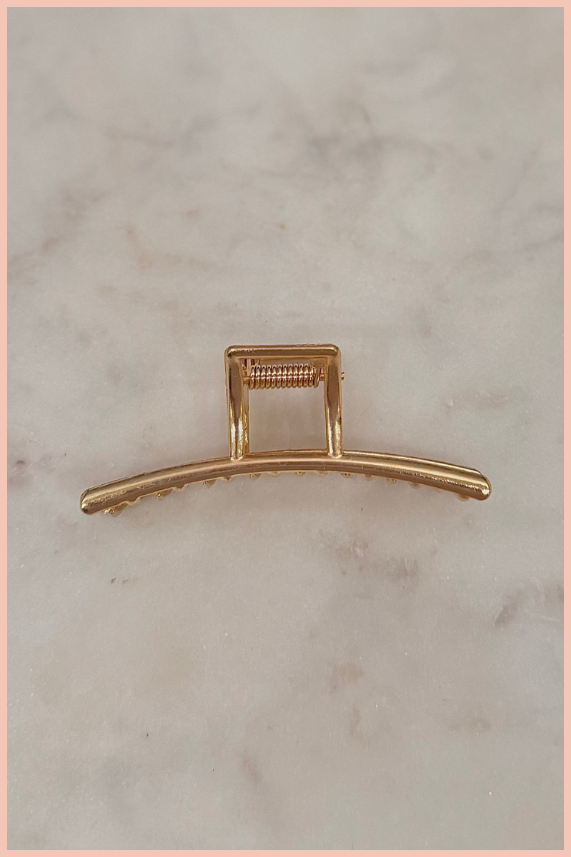 Metal Claw Clip