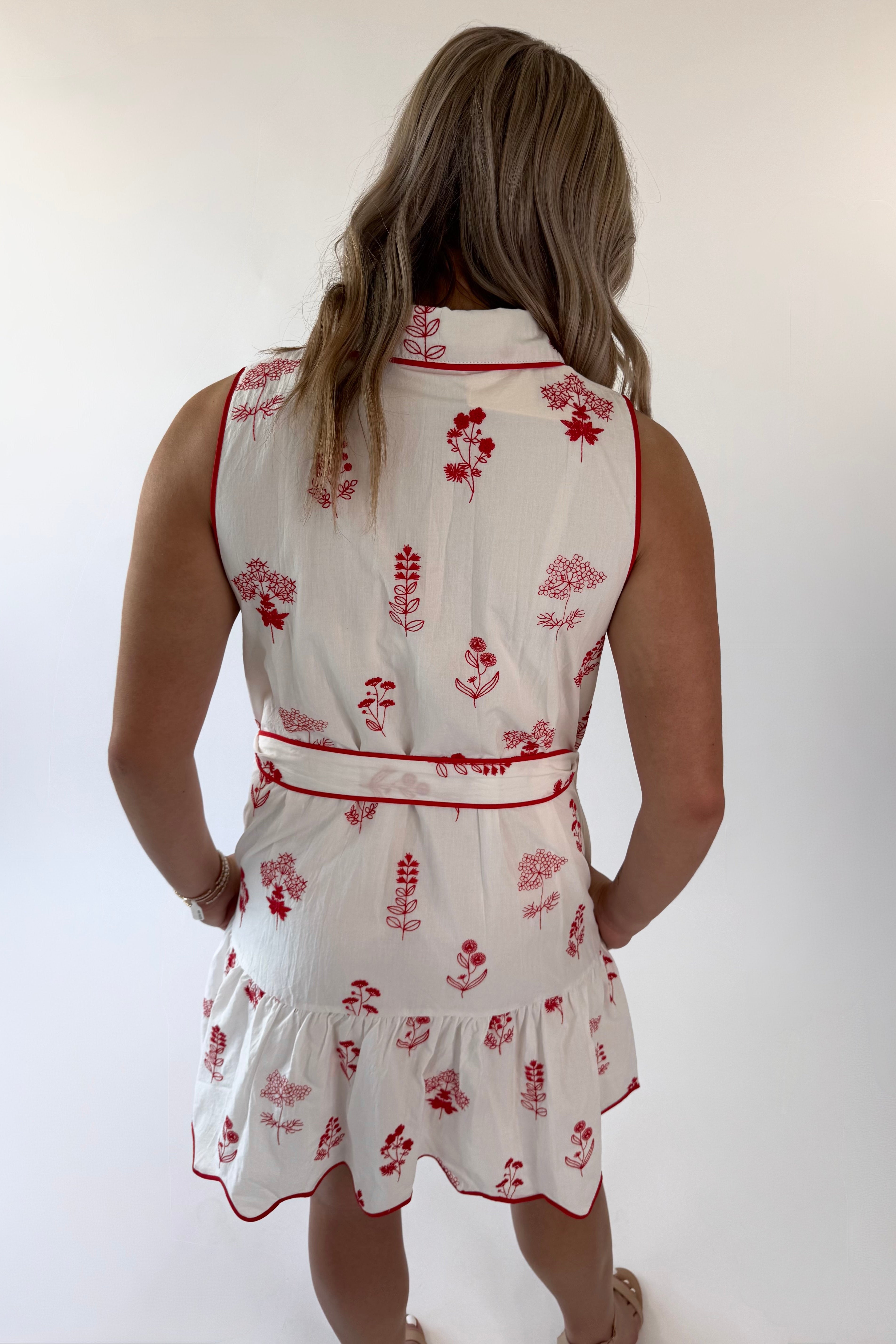 Picnic Poet Dress | Final Sale