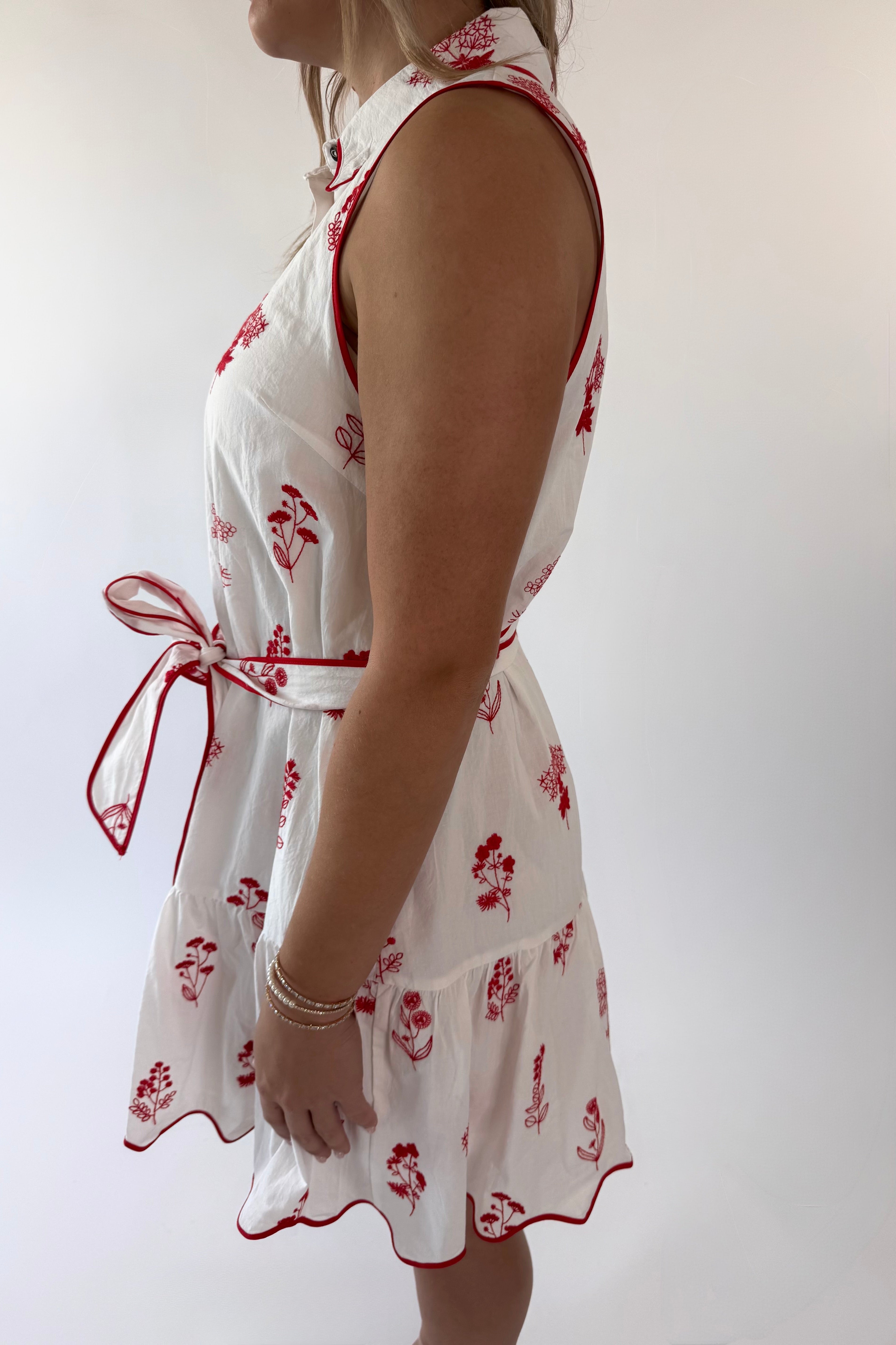 Picnic Poet Dress | Final Sale