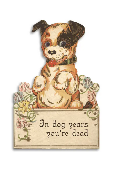 In Dog Years You're Dead | Birthday Card