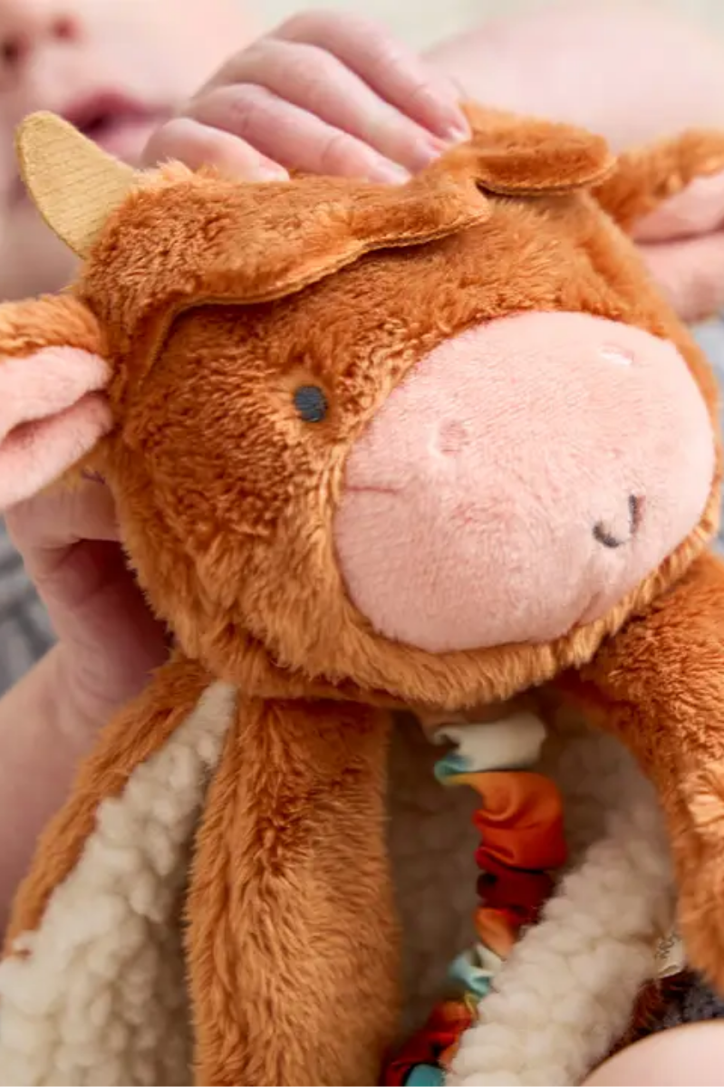 Itzy Lovey? Plush and Teether Toy | Wyatt the Highland Cow