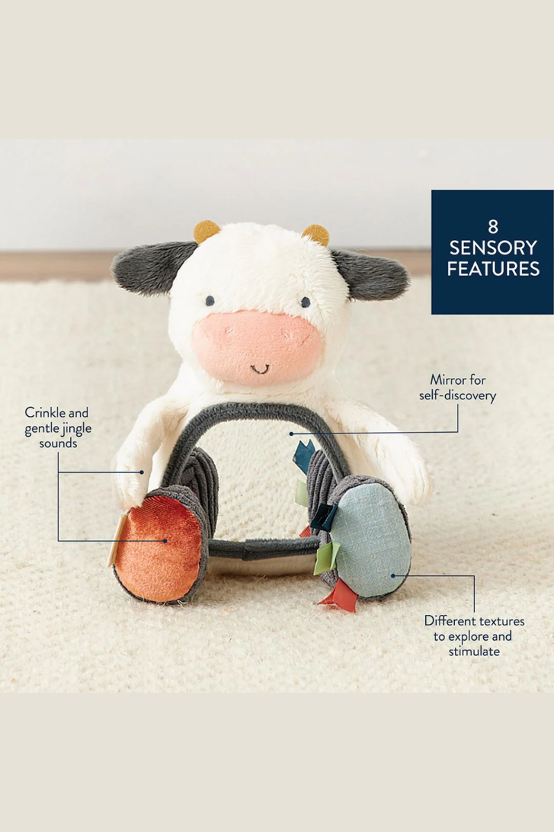 Itzy Bitzy Mirror? Sensory Tummy Time Mirror