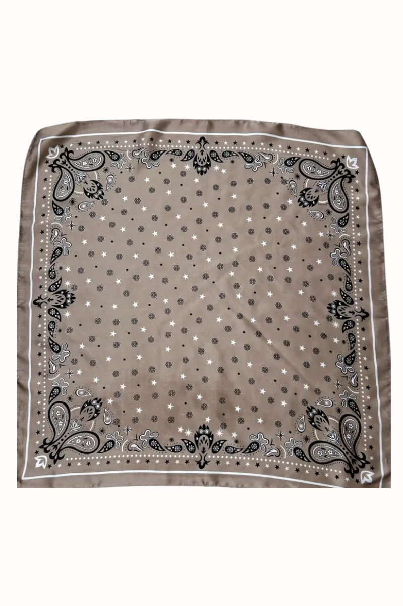 Paisley & Stars Silky Square Scarf
