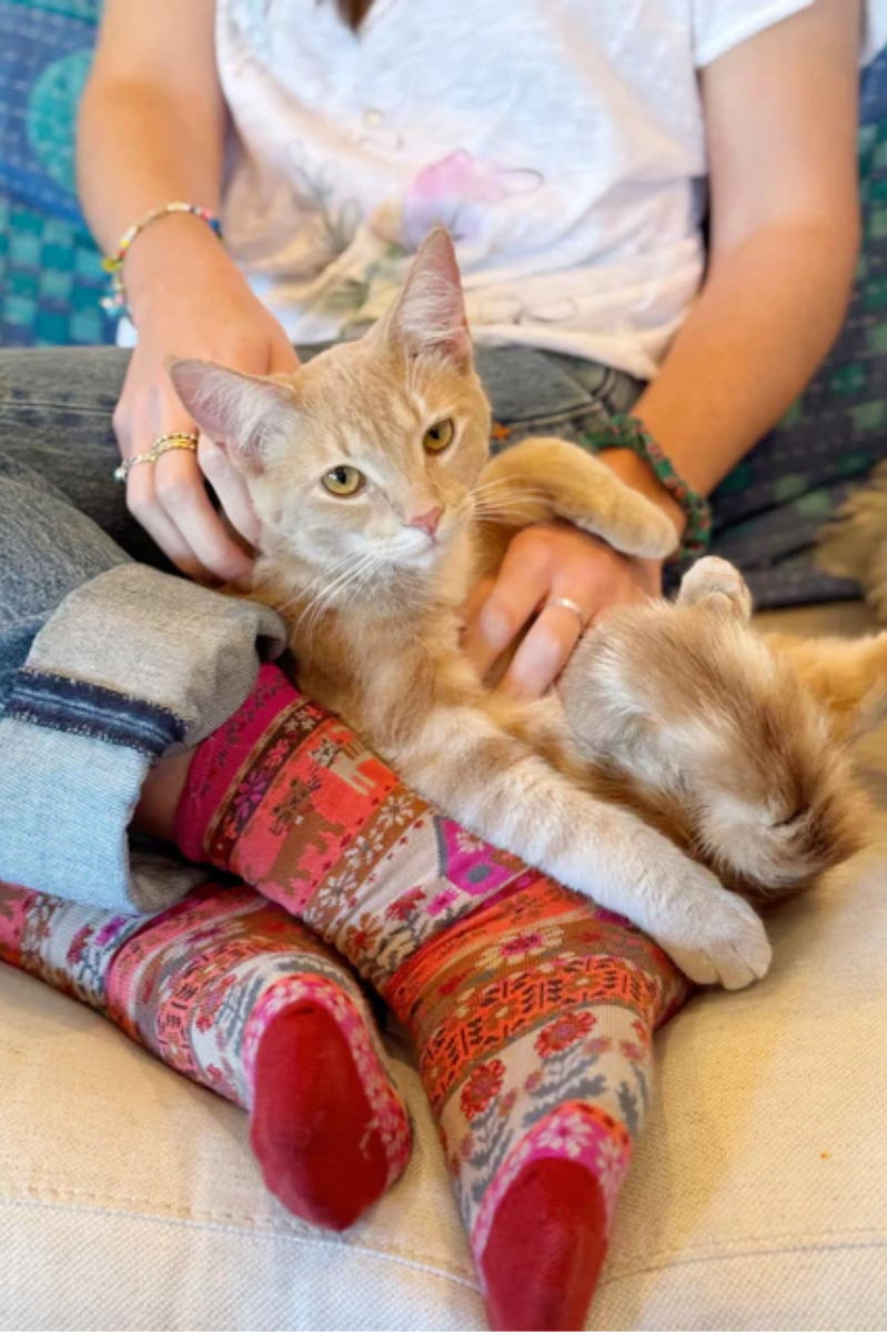 Animal Boxed Boho Sock Set, Set of 3 | Natural Life