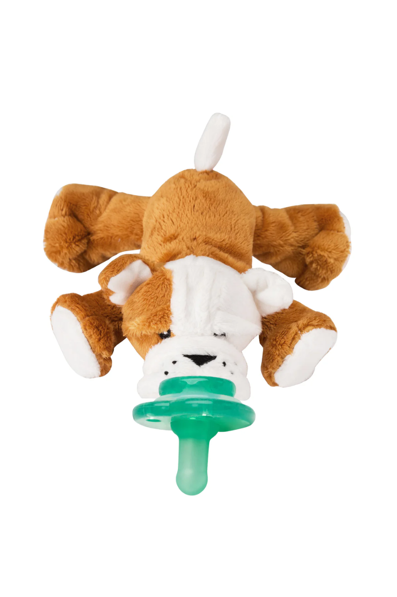 Paci-Plushies Shakies | Nookums