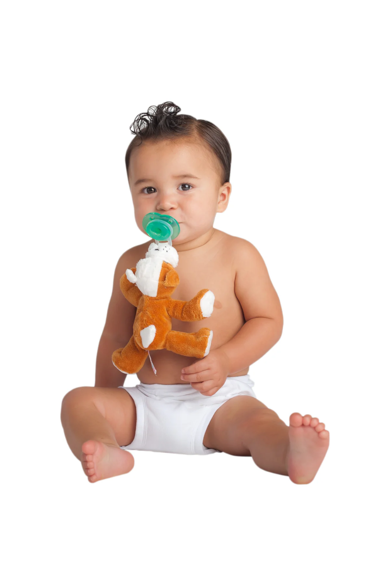 Paci-Plushies Shakies | Nookums