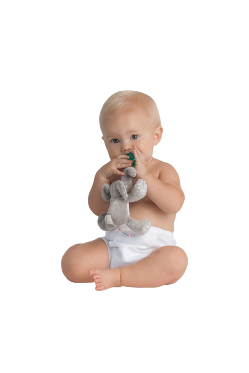 Paci-Plushies Shakies | Nookums