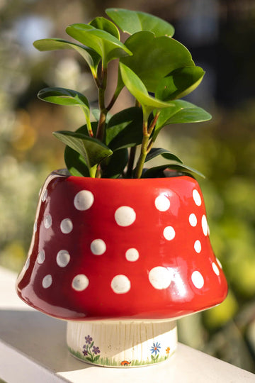So Cute Ceramic Planter | Natural Life