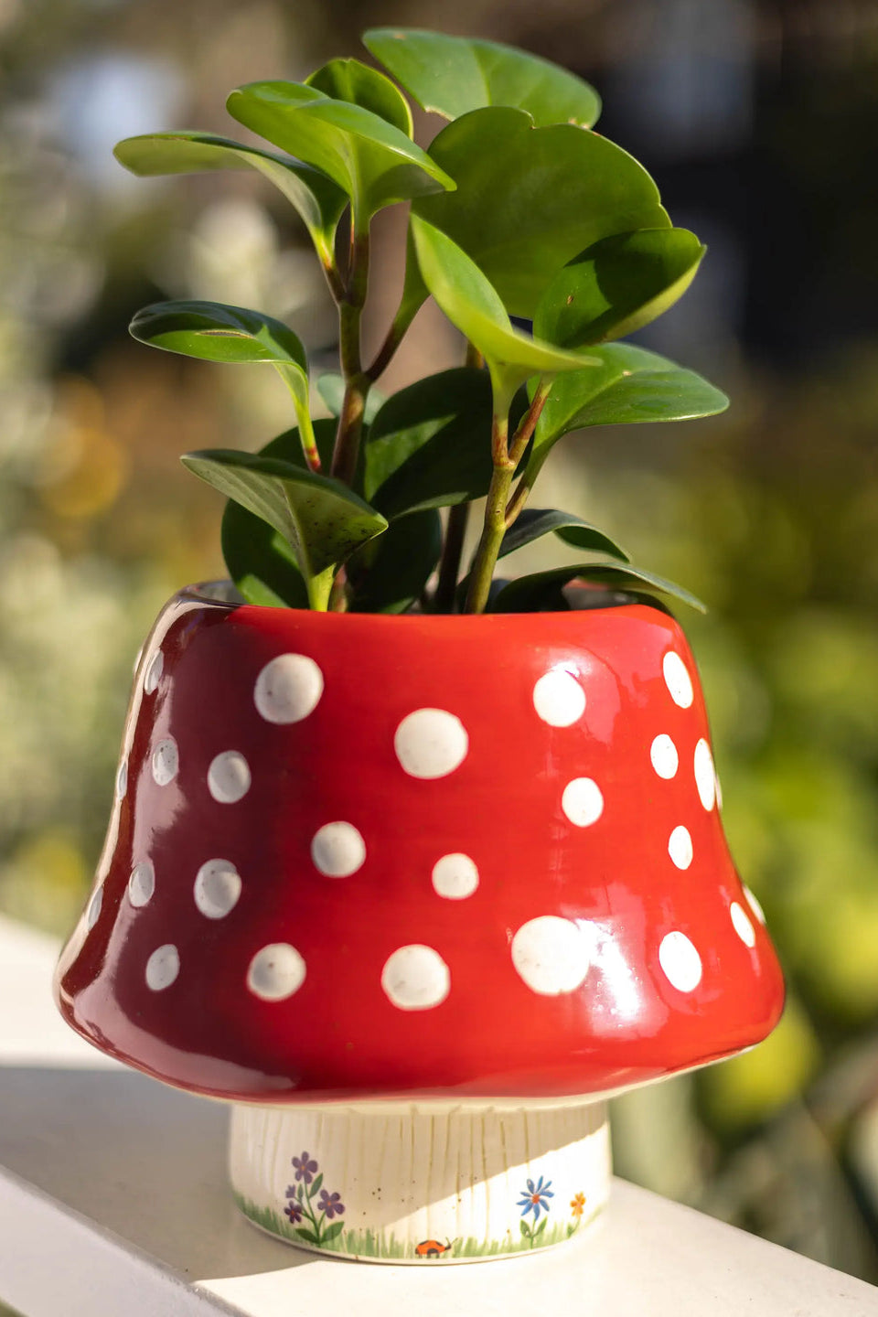 So Cute Ceramic Planter | Natural Life