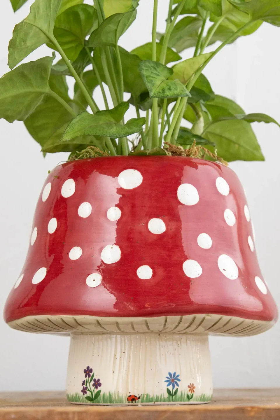 So Cute Ceramic Planter | Natural Life