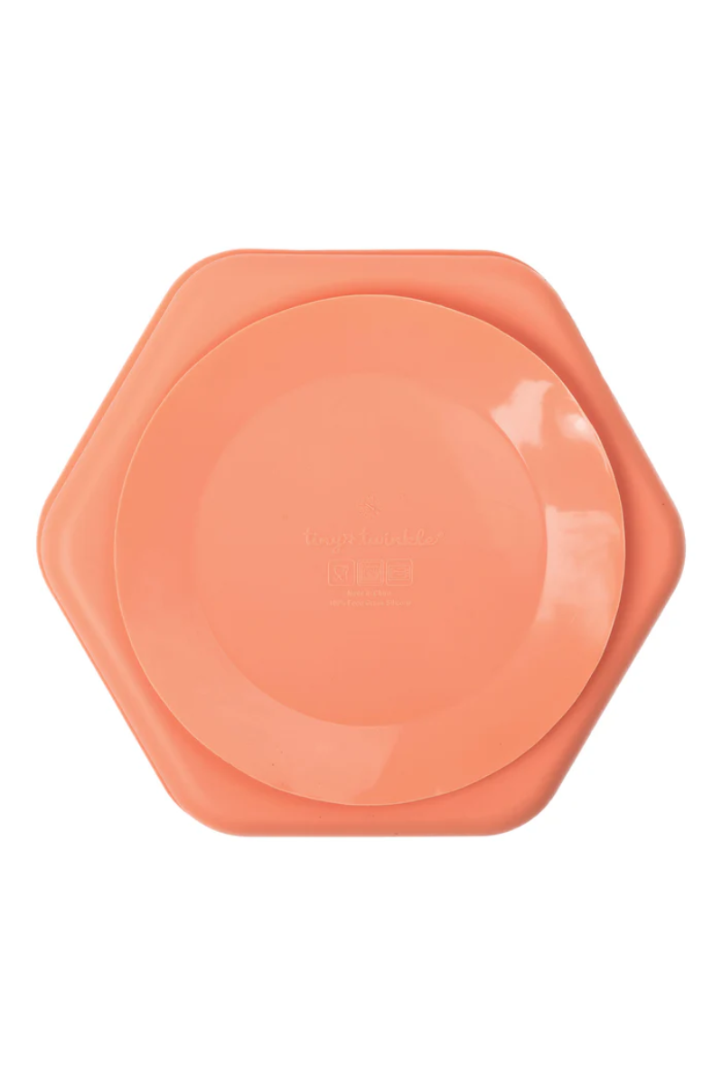 Silicone Suction Plate