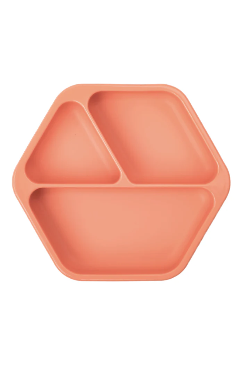 Silicone Suction Plate